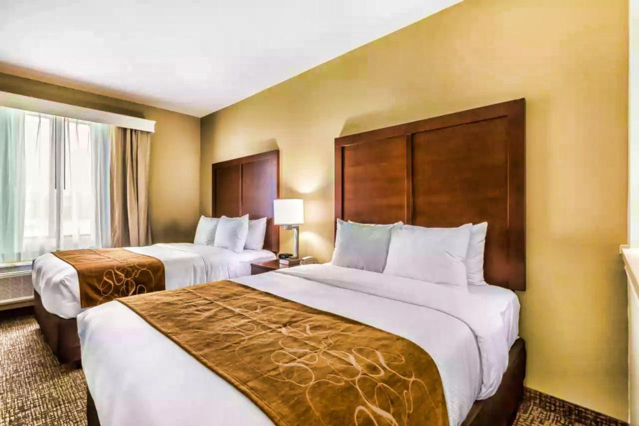 Comfort Suites Houston I45 North Aldine Экстерьер фото